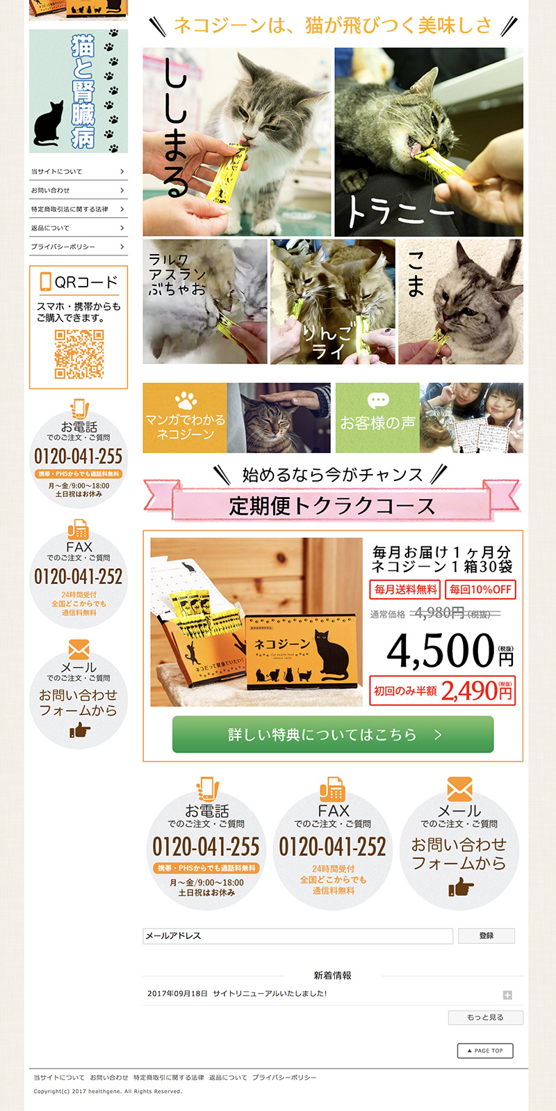 ECサイト作成、リニューアル