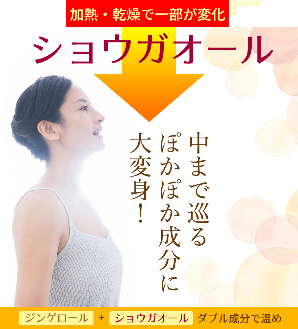 生姜パウダー 冷え対策 しょうが