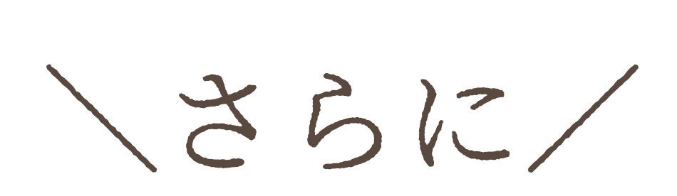 イヌリン効果 赤菊芋パウダー キクイモ粉末 中性脂肪 糖質対策