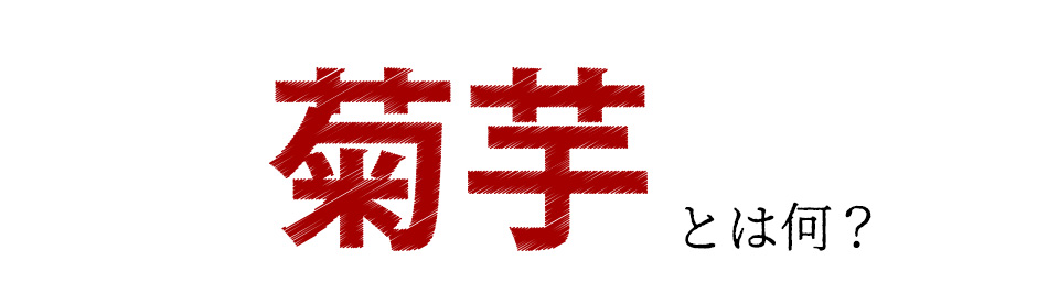 イヌリン効果 赤菊芋パウダー キクイモ粉末 中性脂肪 糖質対策