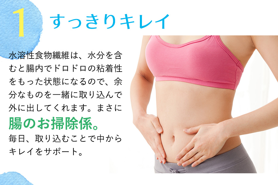 イヌリン効果 赤菊芋パウダー キクイモ粉末 中性脂肪 糖質対策