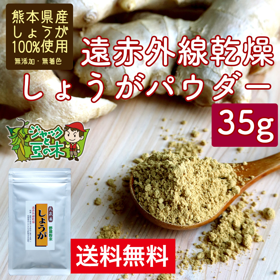 生姜パウダー ランディングページ